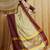 Beige silk cotton banarasi saree