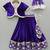 Purple Embroidered Velvet Lehenga Set