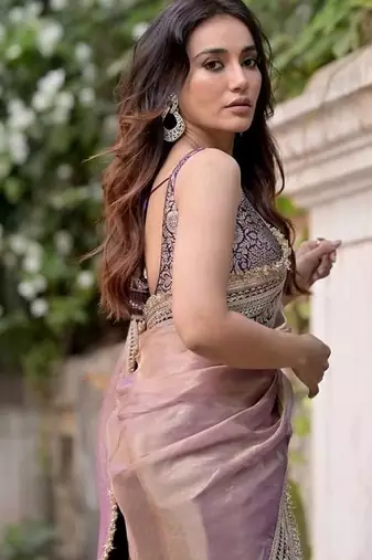 Lavender Sequin And Dori Embroidered Twil Net Saree