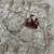 Beige Color Sequence And Zari Embroidery Work Silk Saree