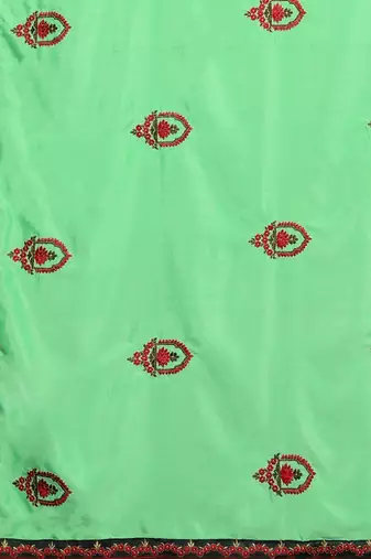 Lime floral embroidered saree