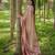 Peach woven design zari silk blend saree