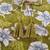 Olive green printed co-ord set for women
