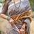 Beige printed tussar saree