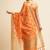 Orange ethnic motifs embroidered saree