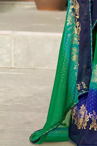 Green ethnic motifs zari poly chiffon saree