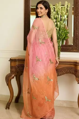 Multicolor embellished embroidered tissue saree