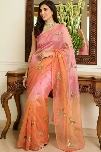 Multicolor embellished embroidered tissue saree