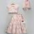 Pink Embroidered Georgette Lehenga Set