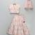 Pink Embroidered Georgette Lehenga Set