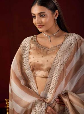 light weight brown stone and bead embroidery border chiffon saree with unstitched blouse 4