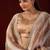 light weight brown stone and bead embroidery border chiffon saree with unstitched blouse