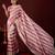 fashionable rose stone and bead embroidery border chiffon saree with unstitched blouse