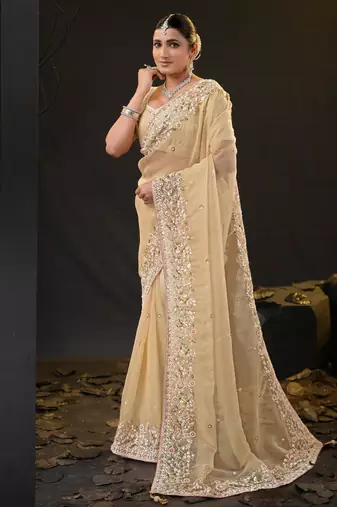 ethnic light yellow pastel floral embroidered border kashmiri organza saree with unstitched blouse