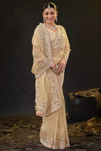 ethnic light yellow pastel floral embroidered border kashmiri organza saree with unstitched blouse