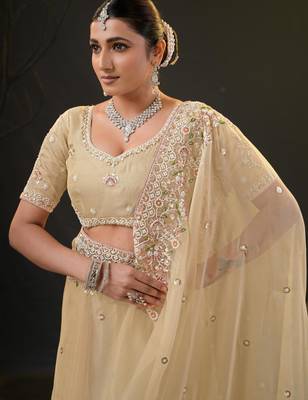 ethnic light yellow pastel floral embroidered border kashmiri organza saree with unstitched blouse 5
