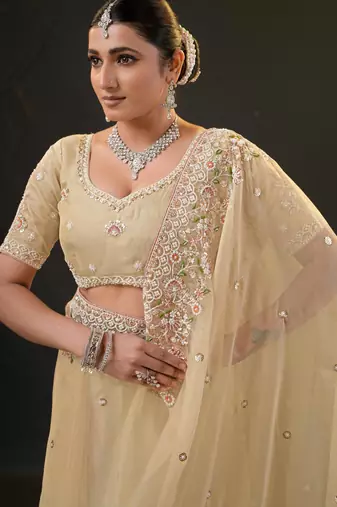 ethnic light yellow pastel floral embroidered border kashmiri organza saree with unstitched blouse