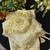 White Gota Design With Gota Patta Touch Up Work Satin Saree