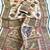 Off White Jari & Jaqurad Weaving Silk Blend Saree