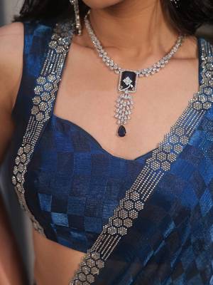 Blue checked tissue heavy work saree 4