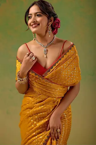 Mustard embellished zari tissue saree