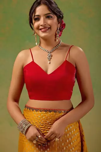 Mustard embellished zari tissue saree