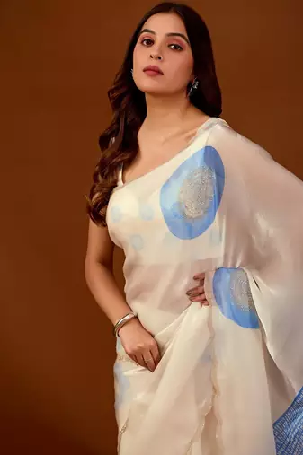 Blue beads and stones organza designer saree