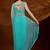 Turquoise floral embroidered  chiffon saree