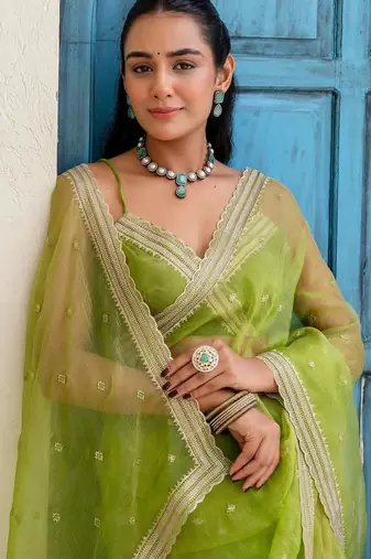 Lime floral sequinned tissue saree