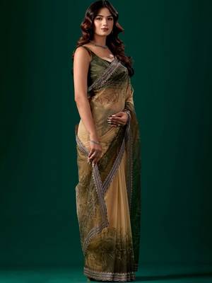 Green ombre beads and stones tissue saree 3