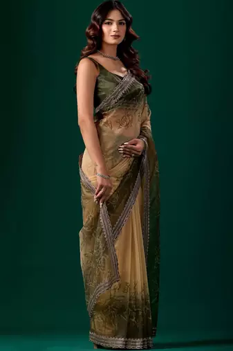 Green ombre beads and stones tissue saree