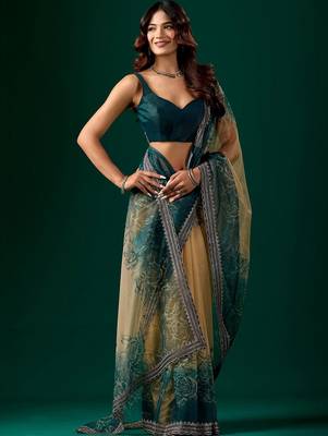 Multicolor floral embroidered tissue saree 3
