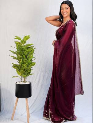 Maroon embellished sequinned tissue saree 3