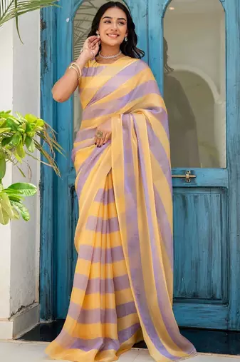Multicolor striped beads and stones organza saree