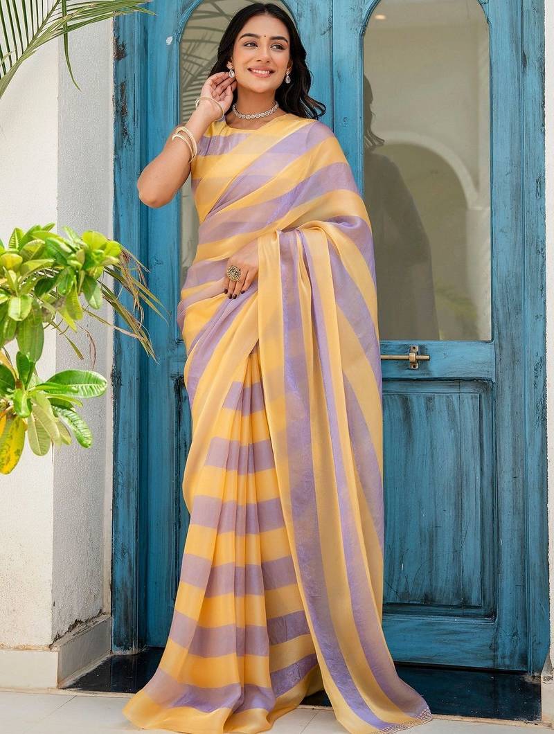 Multicolor striped beads and stones organza saree