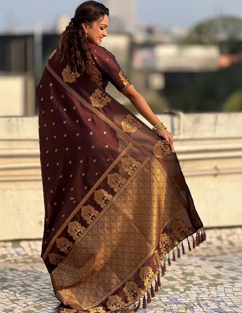 Brown woven design zari silk blend designer banarasi saree