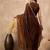 Brown embellished border organza  saree with coding lace