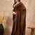 Brown embellished border organza  saree with coding lace
