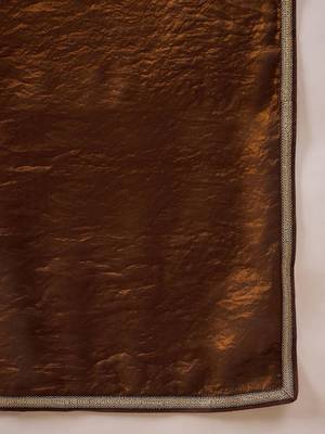 Brown embellished border organza  saree with coding lace 4