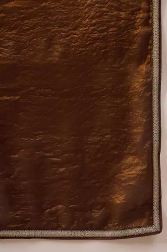 Brown embellished border organza  saree with coding lace