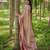 Peach woven design zari kanchipuram silk saree with unstiched blouse piece