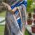 Blue  madhubani blue sarees
