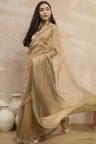 Beige organza designer saree