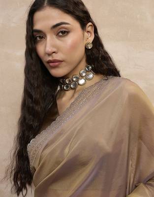 Beige organza saree 5
