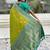 Green woven design zari kanjeevaram saree