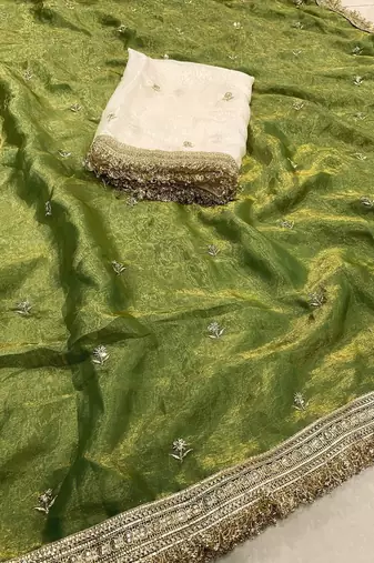 Green embellished zari tissue saree
