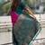 Pink woven design silk blend banarasi saree