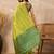 Lime woven design zari silk cotton designer banarasi saree