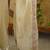 Cream embellished sequinned organza saree