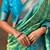 Green ethnic motifs woven design zari kanjeevaram saree
